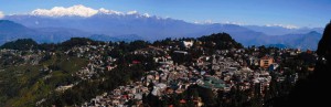 Darjeeling Town                        